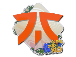 印花 | Fnatic | 2022年里约热内卢锦标赛