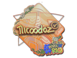 印花 | nicoodoz（全息）| 2022年里约热内卢锦标赛