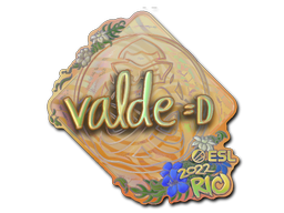 印花 | v4lde（全息）| 2022年里约热内卢锦标赛