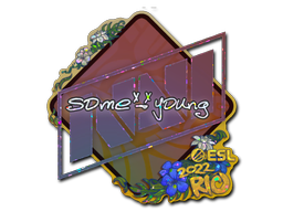 印花 | sdy（闪耀）| 2022年里约热内卢锦标赛