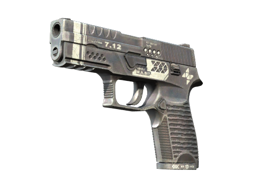 P250 | 重构 (崭新出厂)
