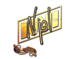 印花 | npl（全息）| 2023年巴黎锦标赛