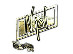 印花 | npl（金色）| 2023年巴黎锦标赛