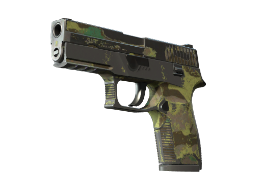 P250 | 北方森林 (战痕累累)