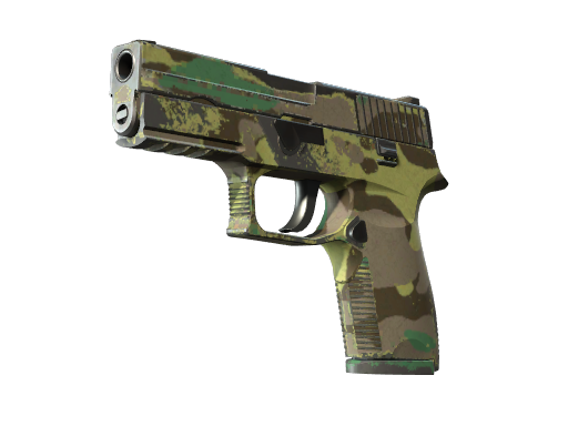 P250 | 北方森林 (破损不堪)