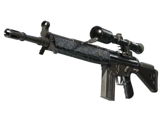 G3SG1（StatTrak™） | 黑暗豹纹 (略有磨损)