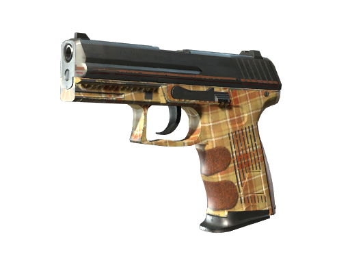 P2000 | 廉价皮革 (久经沙场)