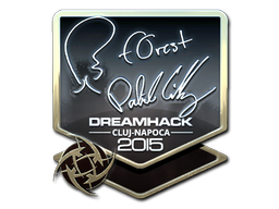 印花 | f0rest（闪亮）| 2015年卢日-纳波卡锦标赛