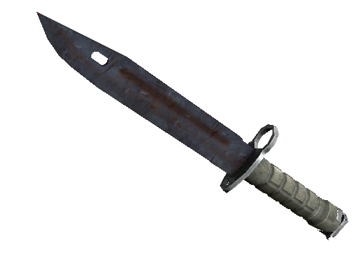 刺刀(★ StatTrak™) | 外表生锈 (破损不堪)