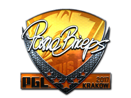 印花 | pashaBiceps(闪亮)| 2017年克拉科夫锦标赛