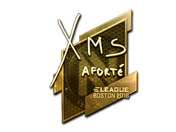 印花 | xms(金色)| 2018年波士顿锦标赛