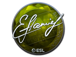 印花 | flamie(闪亮)| 2019年卡托维兹锦标赛