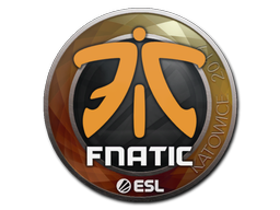 印花 | Fnatic | 2019年卡托维兹锦标赛
