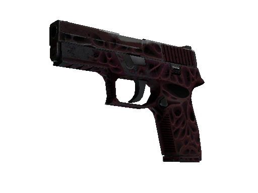 P250（StatTrak™） | 污染物 (久经沙场)