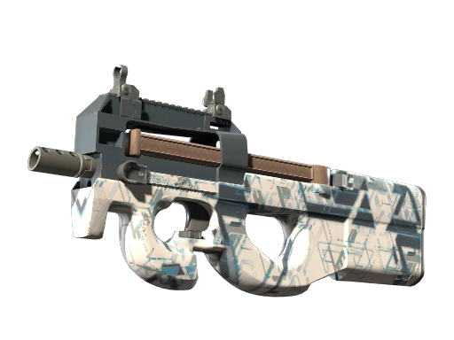 P90 | 解视图 (略有磨损)