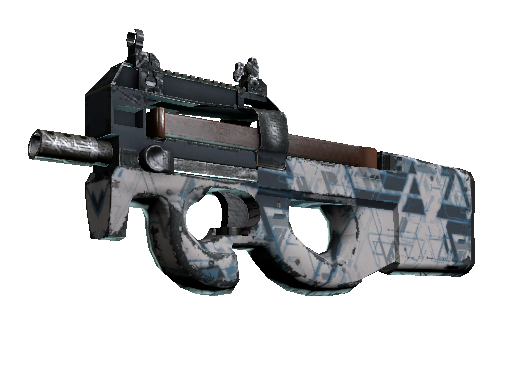 P90(纪念品) | 解视图 (破损不堪)