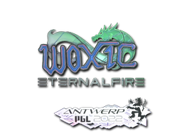 印花 | woxic（全息）| 2022年安特卫普锦标赛