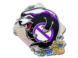 印花 | Outsiders | 2022年里约热内卢锦标赛