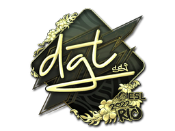 印花 | dgt(金色)| 2022年里约热内卢锦标赛