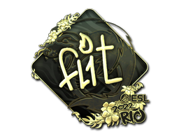 印花 | FL1T(金色)| 2022年里约热内卢锦标赛