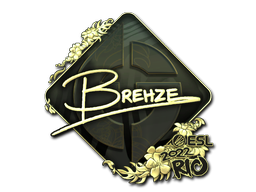 印花 | Brehze（金色）| 2022年里约热内卢锦标赛