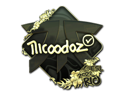 印花 | nicoodoz(金色)| 2022年里约热内卢锦标赛