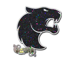 印花 | FURIA(闪耀)| 2023年巴黎锦标赛