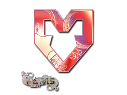 印花 | MOUZ（全息）| 2023年巴黎锦标赛