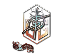 印花 | degster(全息)| 2023年巴黎锦标赛