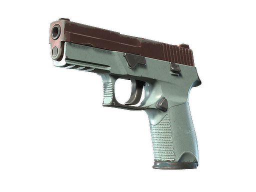 P250 | 氧化铜 (久经沙场)