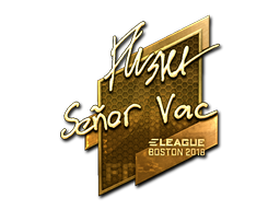 印花 | flusha（金色）| 2018年波士顿锦标赛