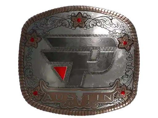 印花 | paiN Gaming(闪亮)| 2025年奥斯汀锦标赛