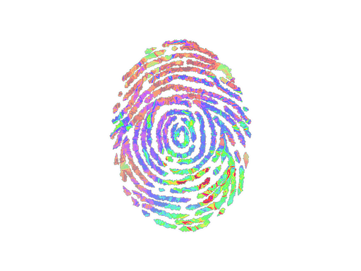 印花 | Evidence (Holo)