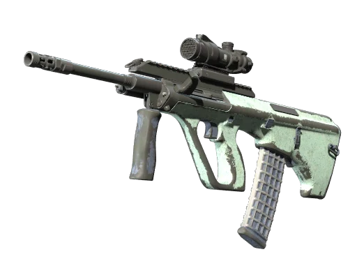 AUG（纪念品） | 暴风呼啸 (战痕累累)