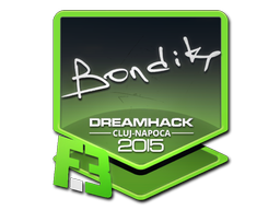 印花 | bondik | 2015年卢日-纳波卡锦标赛