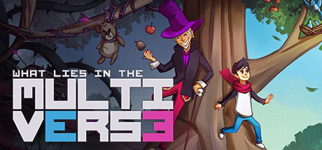 What Lies in the Multiverse