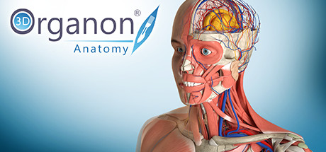 3D Organon Anatomy