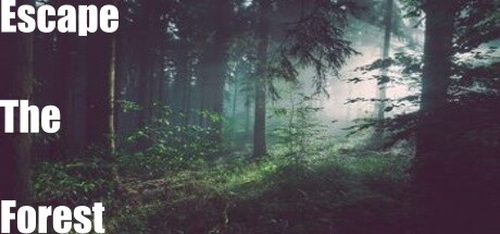 Escape the forest