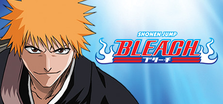Bleach: Bleach 16