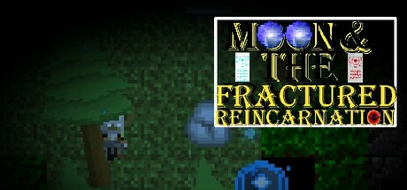 Moon & The Fractured Reincarnation