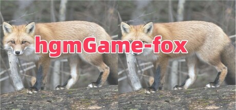 hgmGame-fox