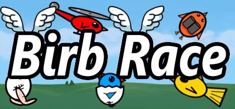 Birb Race