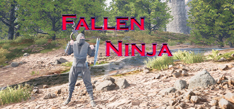 Fallen Ninja