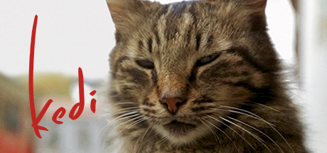 Kedi