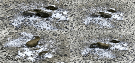 Absurbia: A Trashy Satire of Suburban Outcries