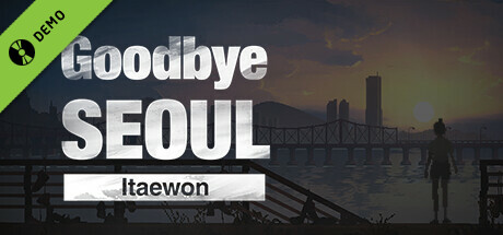 Goodbye Seoul