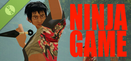 Ninja Game Demo