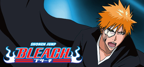 Bleach: Bleach 255