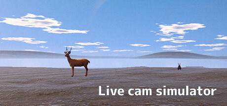 Live Camera Simulator