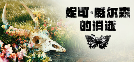 The Fading of Nicole Wilson